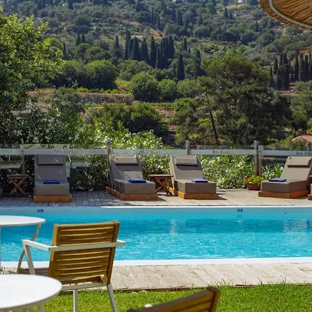 Guest house Iro Andros Town