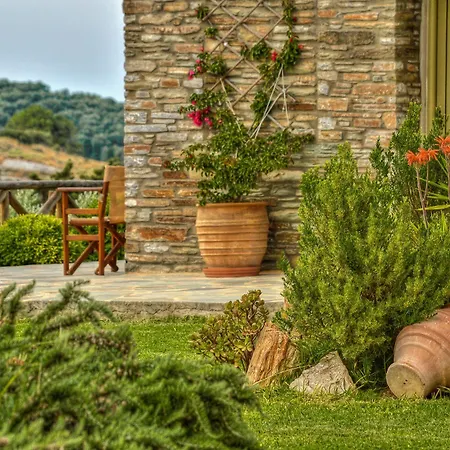 Iro Guest house